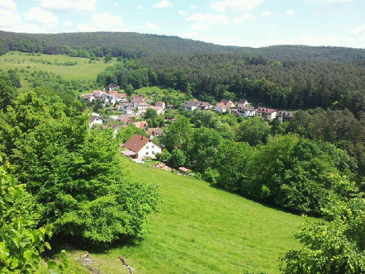 Angebot 11 18