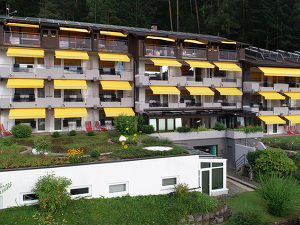 Angebot 1 Am Hochwald liegen Sie richtig!