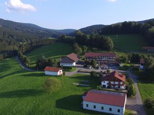 Angebot 102 Frühlingswandern im Bayerischen Wald