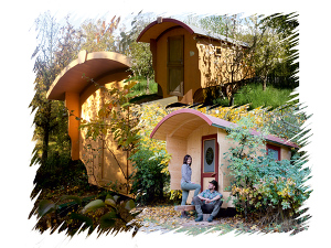 Angebot 7 Zwei außergewöhnliche Nächte im Schäferwagen Nr. 2/3