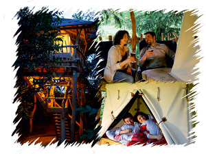 Angebot 9 Eine außergewöhnliche Nacht in unserem Baumbett