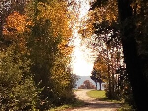 Angebot 166 Wandern im goldenen Herbst