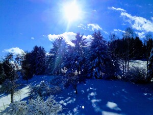 Angebot 168 Skitage im verschneiten Bayern